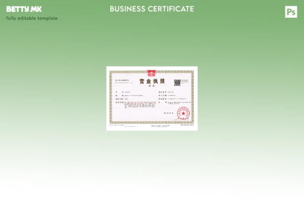 Модерен стил шаблон за бизнис лиценца во Кина